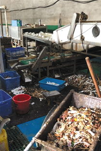 對手抹黑還是行業亂象？消毒餐具工廠曝光事件背后的博弈